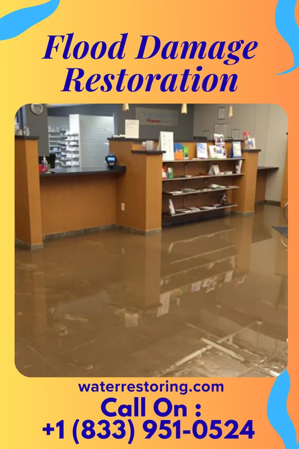 Flood Damage Restoration in Bluford, IL
