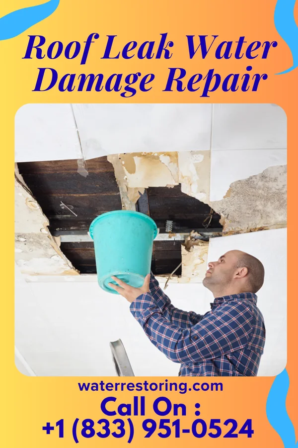 Roof Leak Water Damage Repair in Bluford, IL