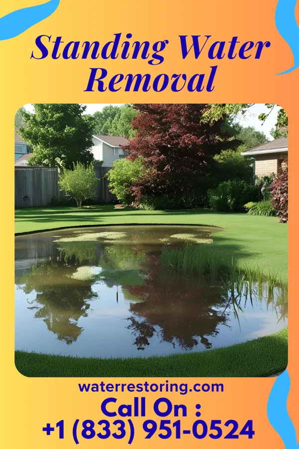 Standing Water Removal in Bluford, IL